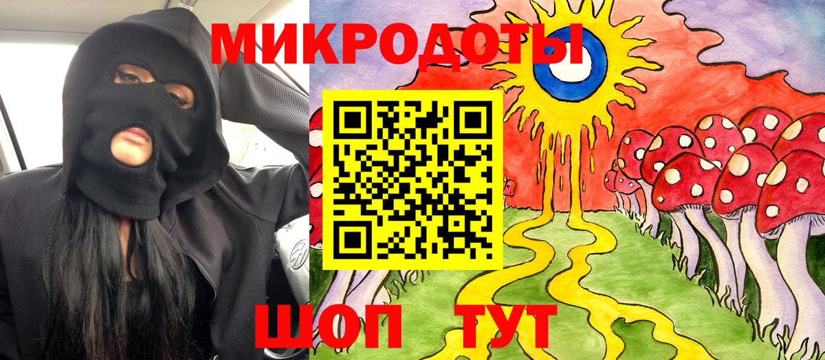 Псилоцибиновые грибы Psilocybe Зима