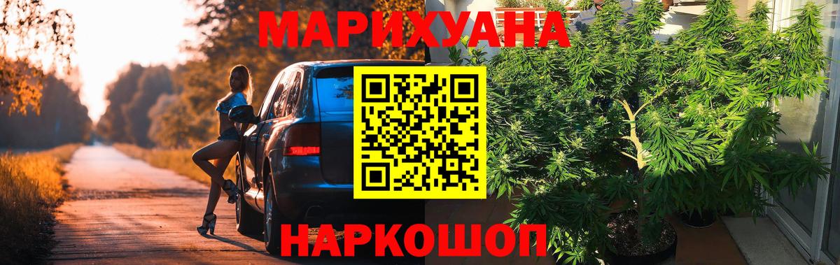 Шишки марихуана план Зима